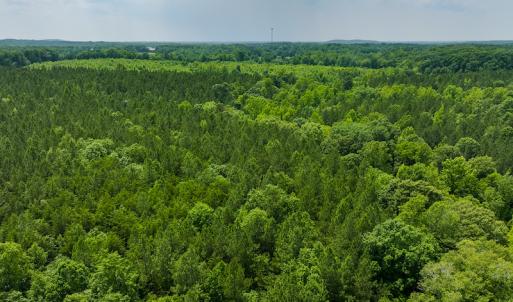 Photo #46 of SOLD property in Off Mill Creek Road, Roxboro, NC 49.0 acres