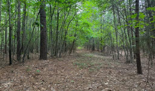 Photo #48 of SOLD property in Off Mill Creek Road, Roxboro, NC 49.0 acres