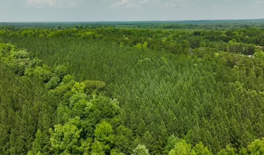 Photo #49 of SOLD property in Off Mill Creek Road, Roxboro, NC 49.0 acres