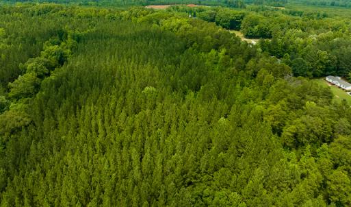 Photo #51 of SOLD property in Off Mill Creek Road, Roxboro, NC 49.0 acres