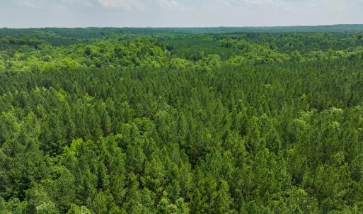 Photo #52 of SOLD property in Off Mill Creek Road, Roxboro, NC 49.0 acres
