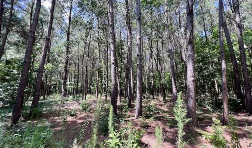 Photo #12 of SOLD property in Off Hewitt Rd, Richlands, NC 13.0 acres