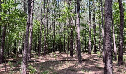 Photo #13 of SOLD property in Off Hewitt Rd, Richlands, NC 13.0 acres