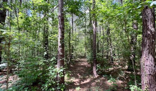 Photo #14 of SOLD property in Off Hewitt Rd, Richlands, NC 13.0 acres