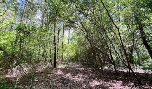 Photo #19 of SOLD property in Off Hewitt Rd, Richlands, NC 13.0 acres