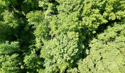 Photo #20 of SOLD property in Off Hewitt Rd, Richlands, NC 13.0 acres