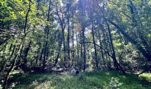 Photo #22 of SOLD property in Off Hewitt Rd, Richlands, NC 13.0 acres