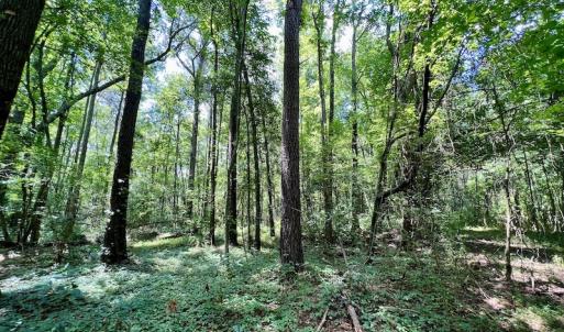 Photo #23 of SOLD property in Off Hewitt Rd, Richlands, NC 13.0 acres
