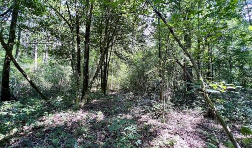 Photo #26 of SOLD property in Off Hewitt Rd, Richlands, NC 13.0 acres