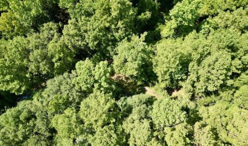 Photo #27 of SOLD property in Off Hewitt Rd, Richlands, NC 13.0 acres