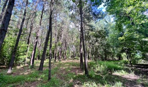 Photo #31 of SOLD property in Off Hewitt Rd, Richlands, NC 13.0 acres