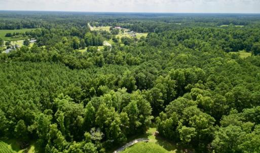 Photo #5 of SOLD property in Off Hewitt Rd, Richlands, NC 13.0 acres