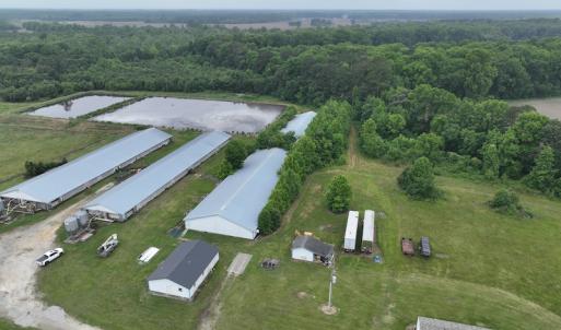 Photo #2 of 1229 NC Highway 305, Aulander, NC 120.0 acres
