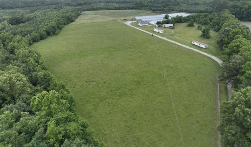 Photo #3 of 1229 NC Highway 305, Aulander, NC 120.0 acres