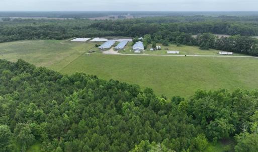 Photo #4 of 1229 NC Highway 305, Aulander, NC 120.0 acres