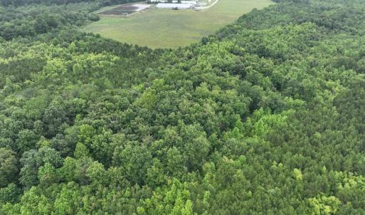 Photo #6 of 1229 NC Highway 305, Aulander, NC 120.0 acres