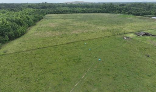 Photo #11 of 1229 NC Highway 305, Aulander, NC 120.0 acres