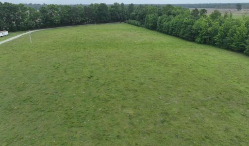 Photo #12 of 1229 NC Highway 305, Aulander, NC 120.0 acres
