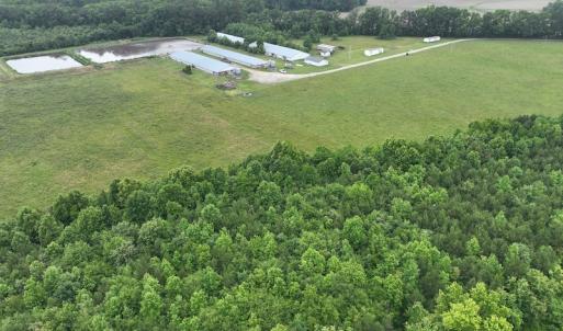 Photo #14 of 1229 NC Highway 305, Aulander, NC 120.0 acres
