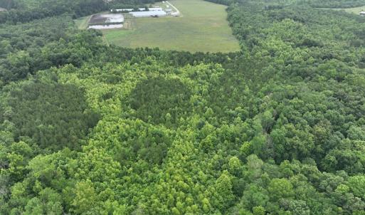 Photo #15 of 1229 NC Highway 305, Aulander, NC 120.0 acres