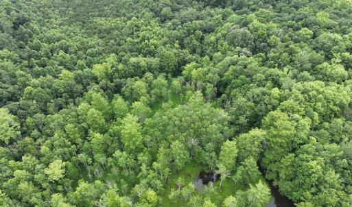 Photo #18 of 1229 NC Highway 305, Aulander, NC 120.0 acres
