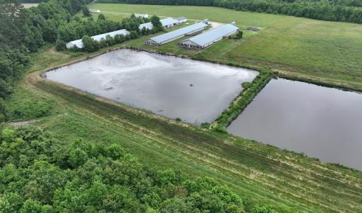 Photo #20 of 1229 NC Highway 305, Aulander, NC 120.0 acres