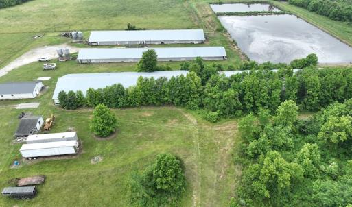 Photo #23 of 1229 NC Highway 305, Aulander, NC 120.0 acres