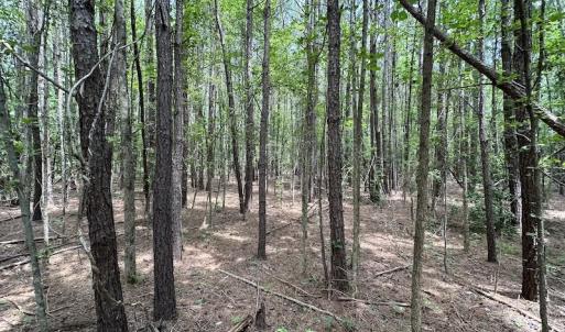 Photo #2 of SOLD property in 3767 Colonial Trail East , Surry, VA 5.9 acres