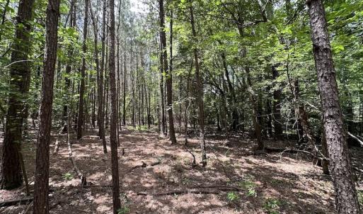 Photo #3 of SOLD property in 3767 Colonial Trail East , Surry, VA 5.9 acres