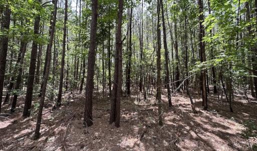 Photo #4 of SOLD property in 3767 Colonial Trail East , Surry, VA 5.9 acres
