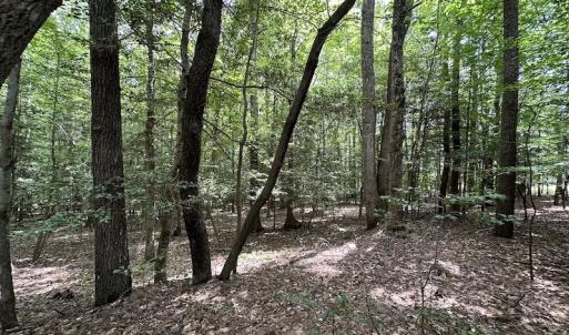 Photo #6 of SOLD property in 3767 Colonial Trail East , Surry, VA 5.9 acres