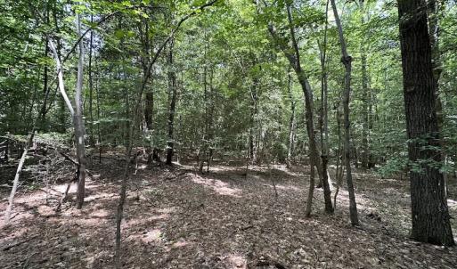 Photo #7 of SOLD property in 3767 Colonial Trail East , Surry, VA 5.9 acres