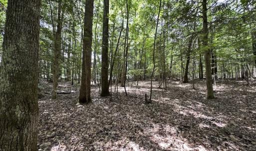 Photo #9 of SOLD property in 3767 Colonial Trail East , Surry, VA 5.9 acres