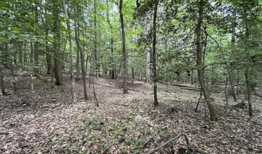 Photo #11 of SOLD property in 3767 Colonial Trail East , Surry, VA 5.9 acres