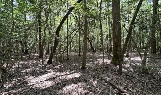 Photo #17 of SOLD property in 3767 Colonial Trail East , Surry, VA 5.9 acres