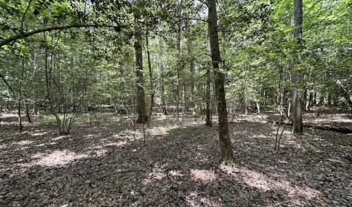 Photo #18 of SOLD property in 3767 Colonial Trail East , Surry, VA 5.9 acres