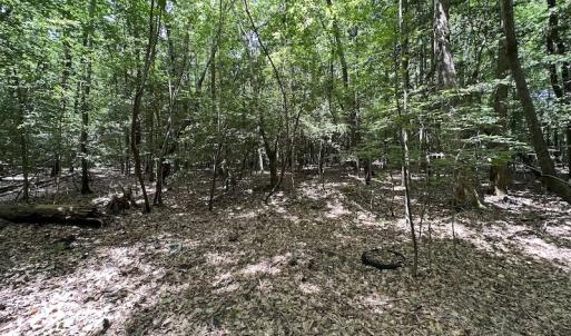 Photo #20 of SOLD property in 3767 Colonial Trail East , Surry, VA 5.9 acres
