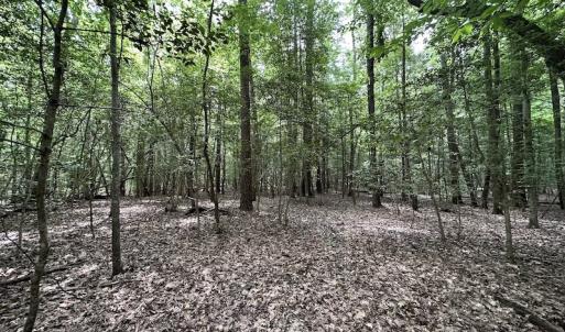 Photo #21 of SOLD property in 3767 Colonial Trail East , Surry, VA 5.9 acres