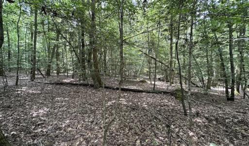 Photo #23 of SOLD property in 3767 Colonial Trail East , Surry, VA 5.9 acres