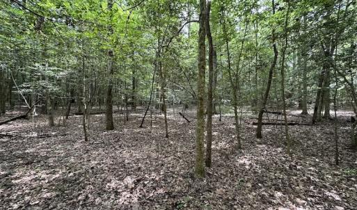Photo #24 of SOLD property in 3767 Colonial Trail East , Surry, VA 5.9 acres