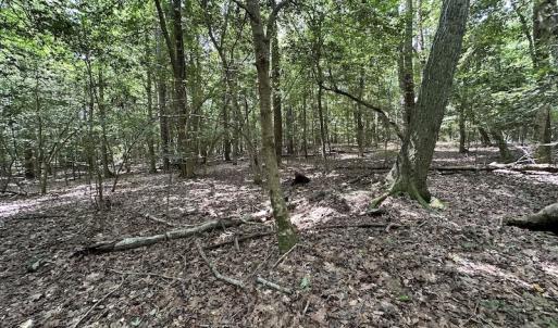 Photo #26 of SOLD property in 3767 Colonial Trail East , Surry, VA 5.9 acres