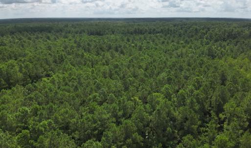 Photo #15 of 103 and 104 Garbacon Drive, Beaufort, NC 10.5 acres