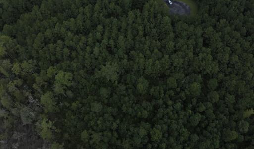 Photo #16 of 103 and 104 Garbacon Drive, Beaufort, NC 10.5 acres