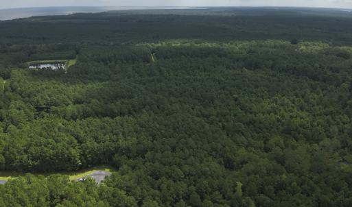 Photo #18 of 103 and 104 Garbacon Drive, Beaufort, NC 10.5 acres