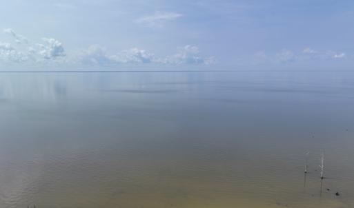 Photo #4 of SOLD property in Off New Hope Road, Hertford, NC 67.9 acres