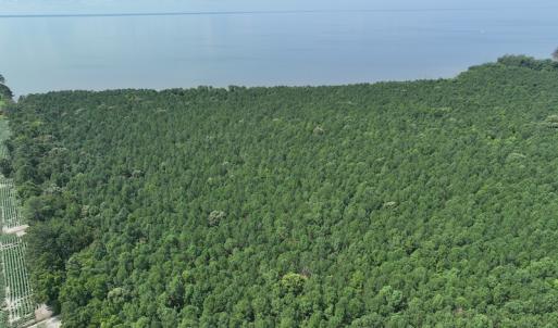 Photo #6 of SOLD property in Off New Hope Road, Hertford, NC 67.9 acres