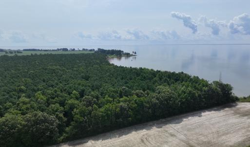 Photo #7 of SOLD property in Off New Hope Road, Hertford, NC 67.9 acres
