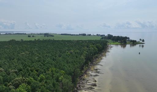 Photo #8 of SOLD property in Off New Hope Road, Hertford, NC 67.9 acres