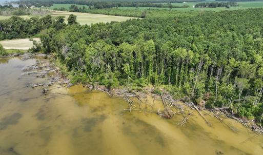 Photo #14 of SOLD property in Off New Hope Road, Hertford, NC 67.9 acres