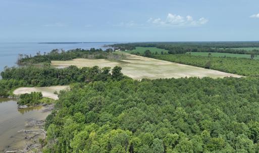 Photo #16 of SOLD property in Off New Hope Road, Hertford, NC 67.9 acres